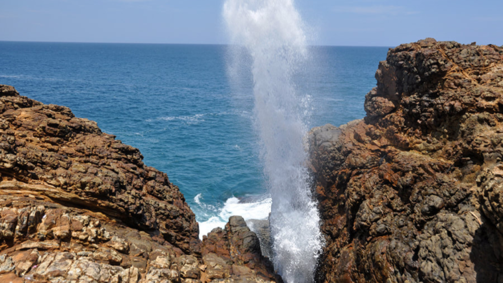 Blowhole